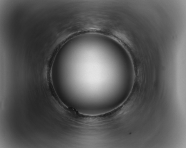 X0000089431404200706151300