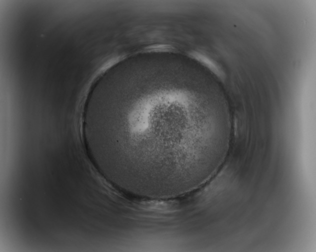 X0000089431405200706151300
