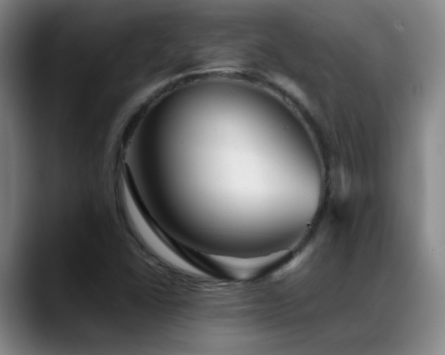 X0000089431406200706151300