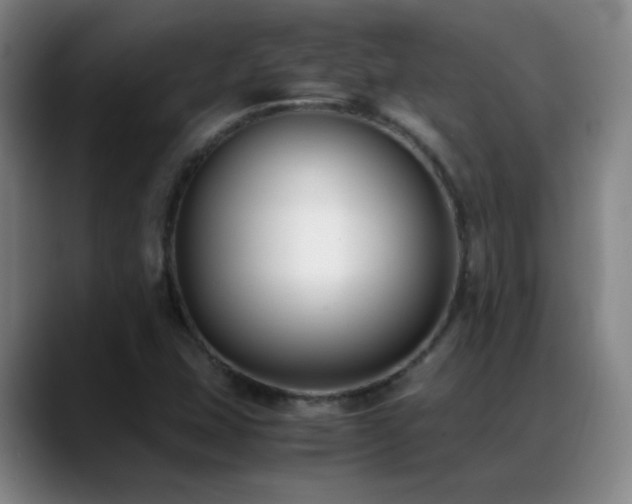 X0000089431407200706151300