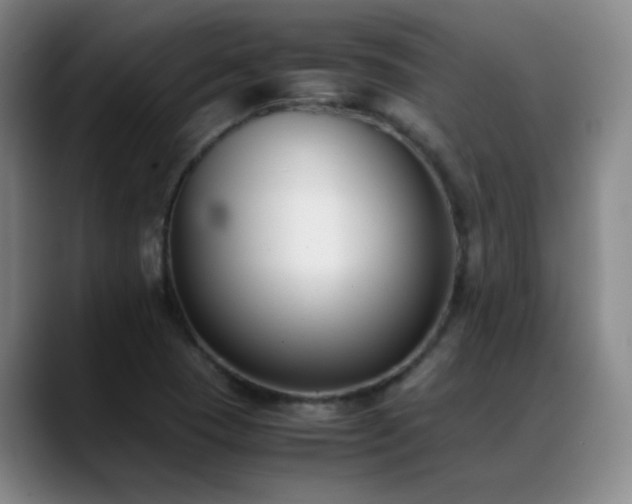 X0000089431409200706151300