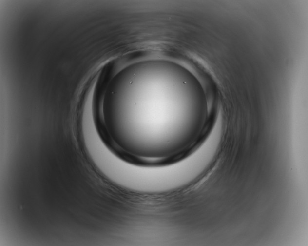 X0000089431410200706151300