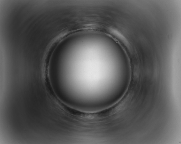 X0000089431411200706151300