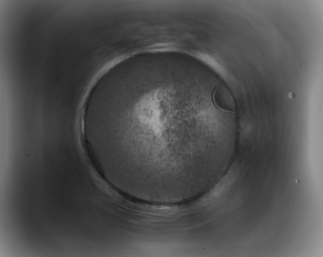 X0000089431413200706151300