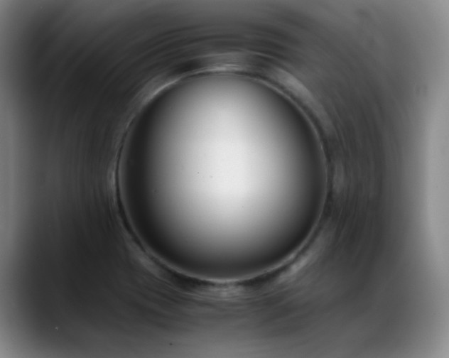 X0000089431417200706151300