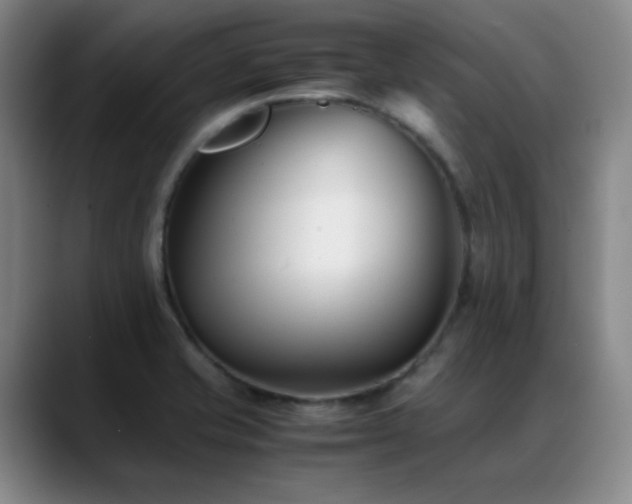 X0000089431421200706151300
