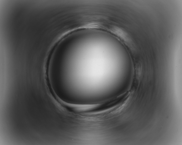 X0000089431422200706151300