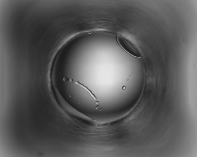X0000089431423200706151300