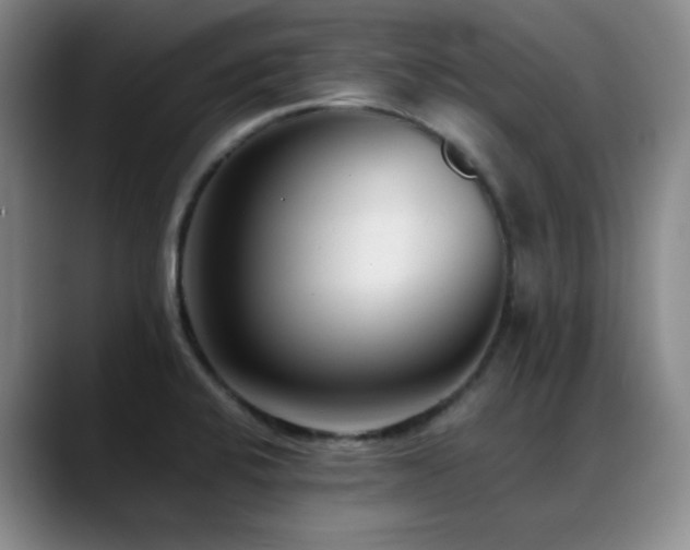 X0000089431424200706151300