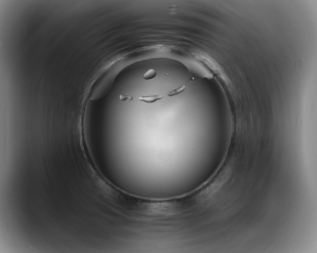 X0000089431425200706151300