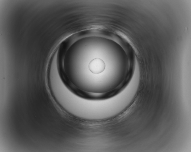 X0000089431426200706151300