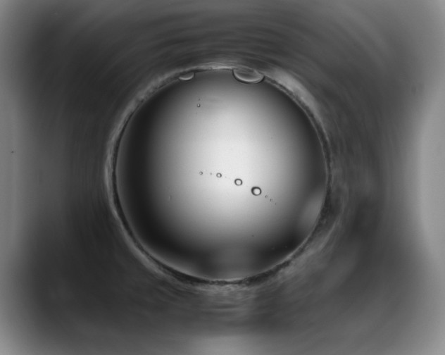 X0000089431429200706151301