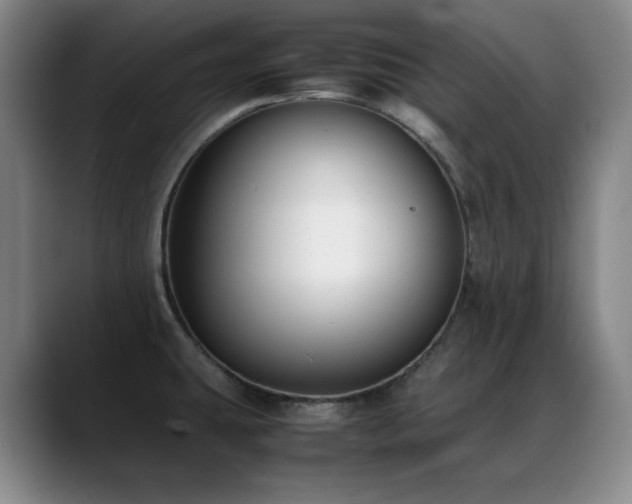 X0000089431431200706151301