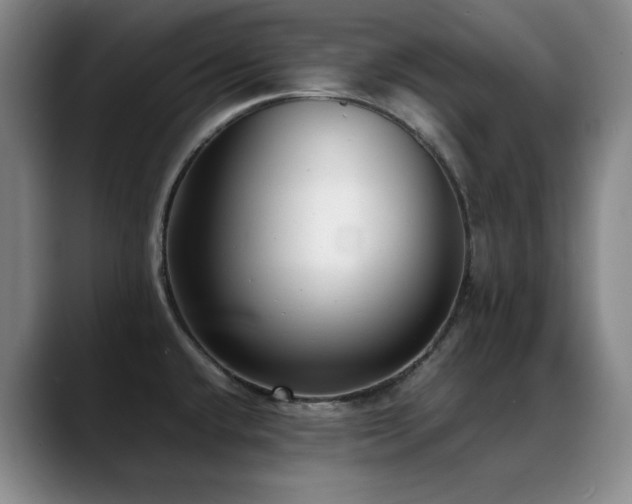 X0000089431432200706151301