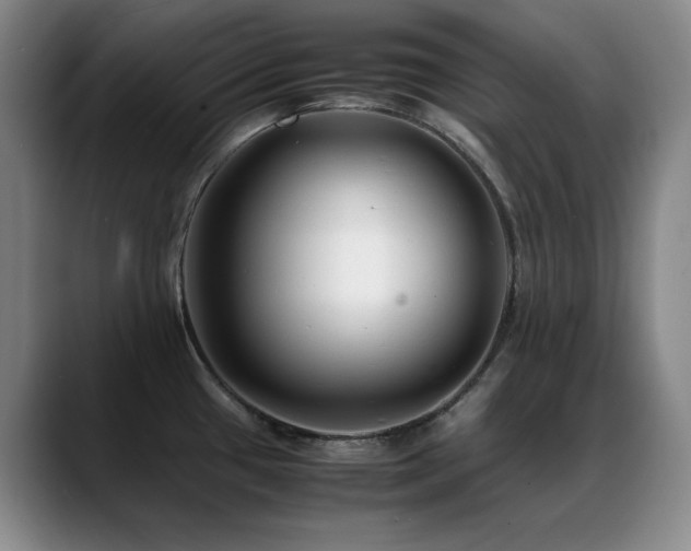 X0000089431433200706151301
