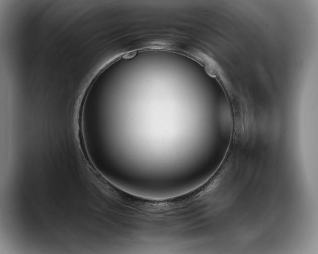 X0000089431435200706151301