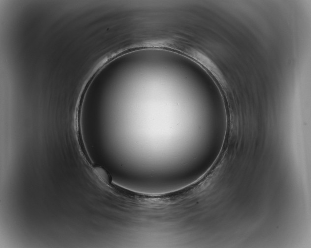 X0000089431436200706151301