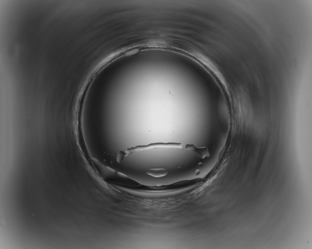 X0000089431437200706151301