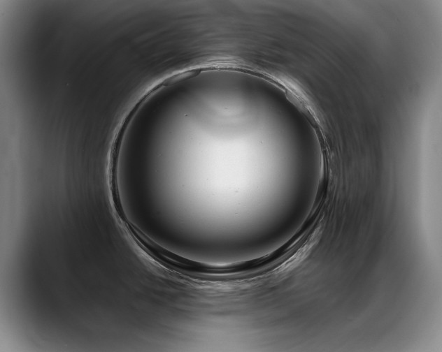 X0000089431438200706151301