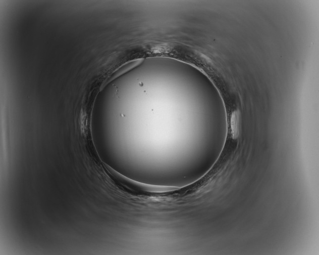 X0000089431443200706151300