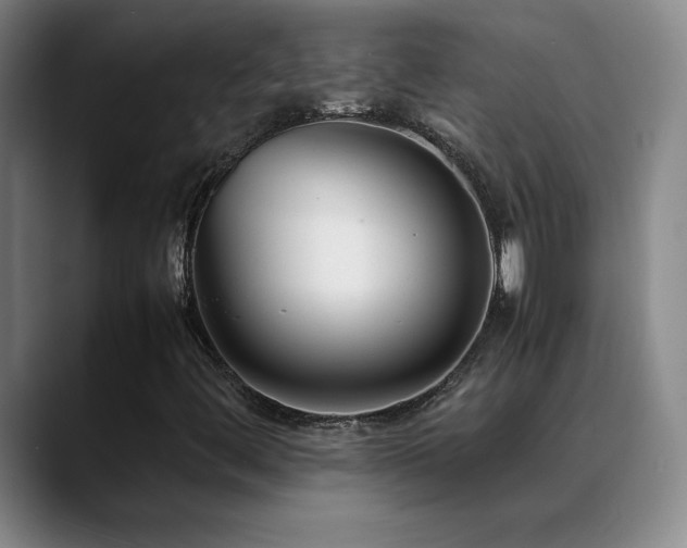 X0000089431444200706151300