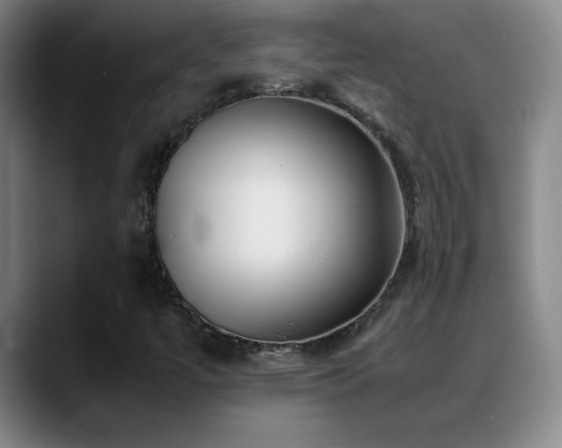 X0000089431447200706151300