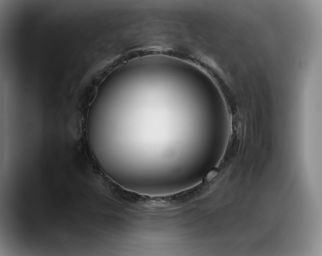 X0000089431448200706151300