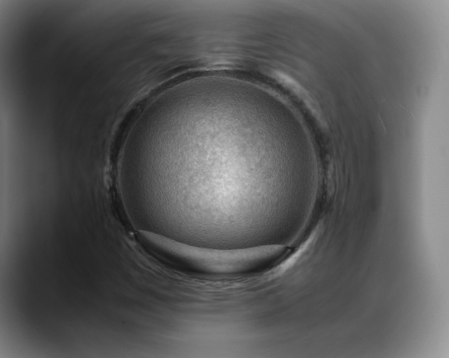 X0000089431449200706151300