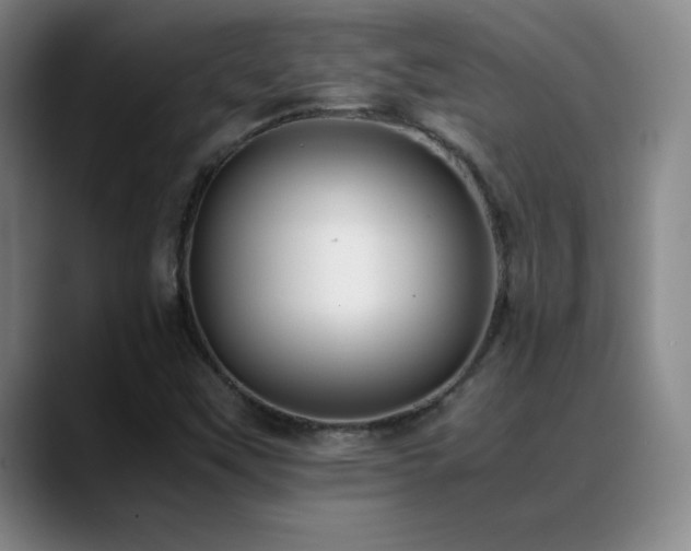 X0000089431451200706151300