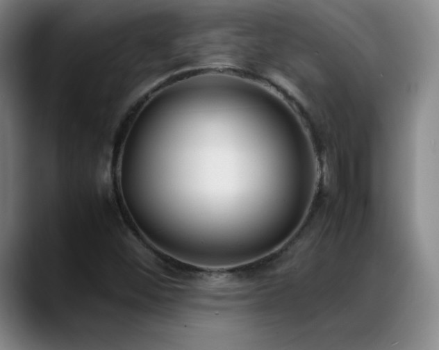 X0000089431452200706151300
