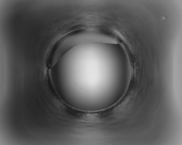 X0000089431453200706151300