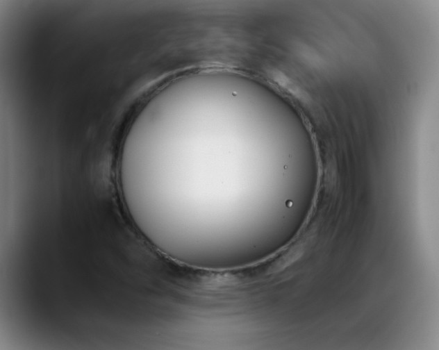 X0000089431454200706151300