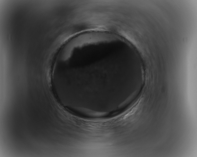 X0000089431455200706151300