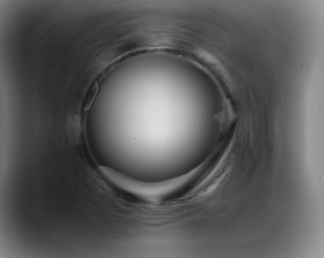 X0000089431457200706151300