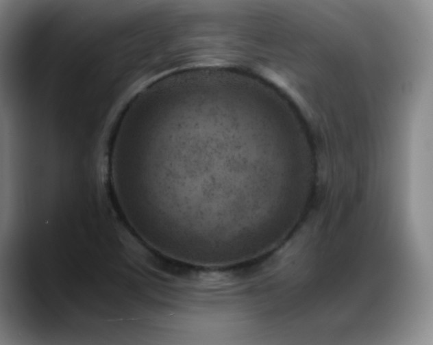 X0000089431459200706151300