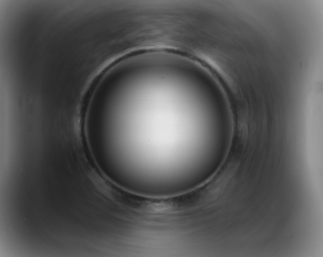 X0000089431460200706151300