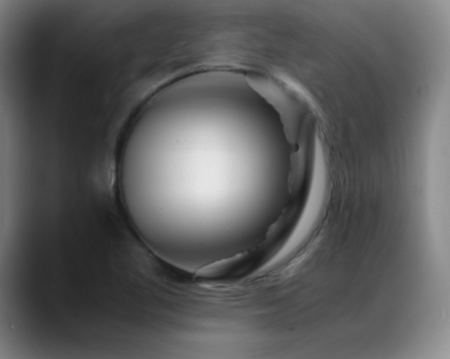 X0000089431461200706151300