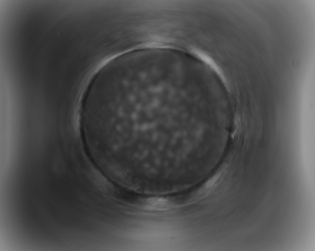X0000089431463200706151300