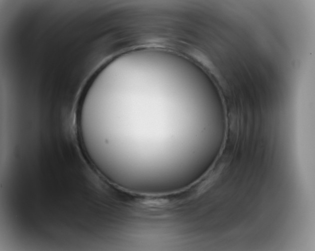 X0000089431466200706151300