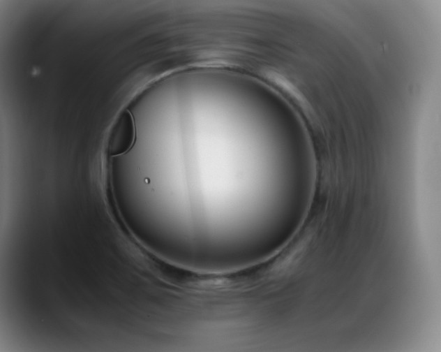 X0000089431467200706151300