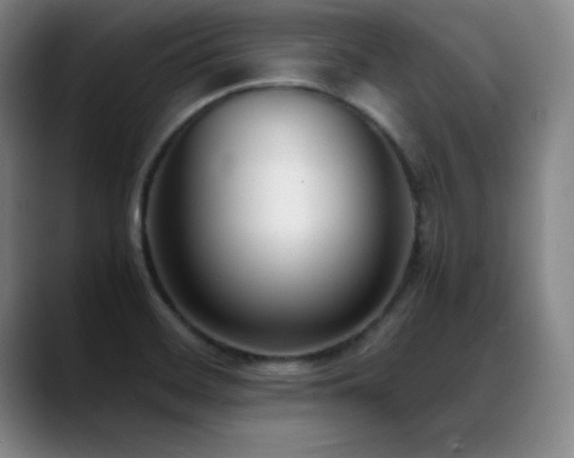 X0000089431468200706151300