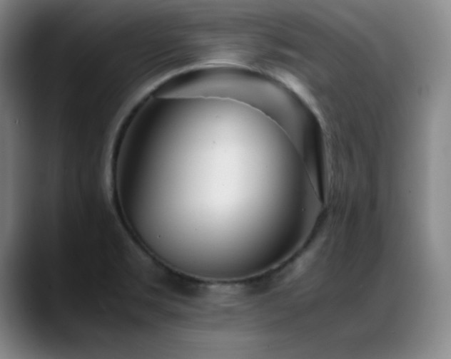 X0000089431469200706151300