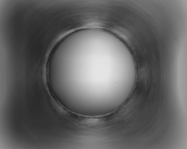 X0000089431470200706151300
