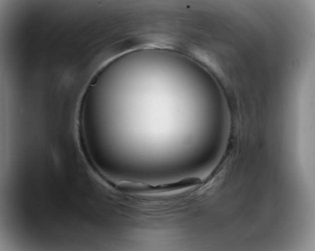 X0000089431471200706151300