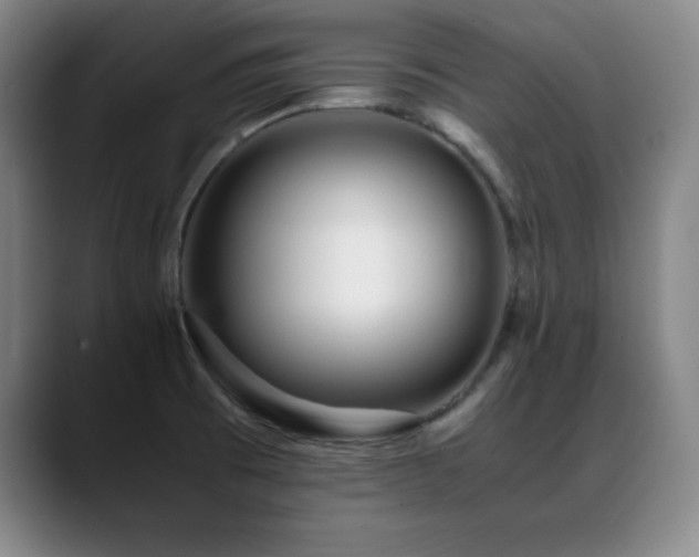 X0000089431473200706151300