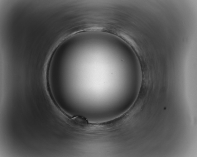 X0000089431475200706151300