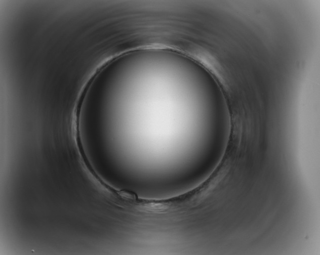X0000089431476200706151300