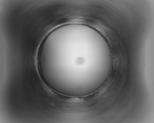 X0000089431478200706151259