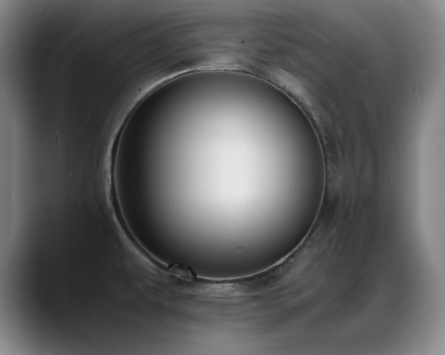 X0000089431479200706151259