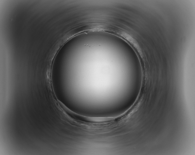 X0000089431481200706151259